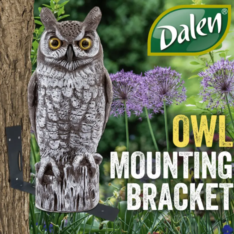 Dalen Owl Mounting Bracket Set – 3-Piece Upgraded Secure Attachment System 1